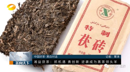 全國首屆黑白對話論壇 湘益茯茶以黑茶C位亮相的底氣何在