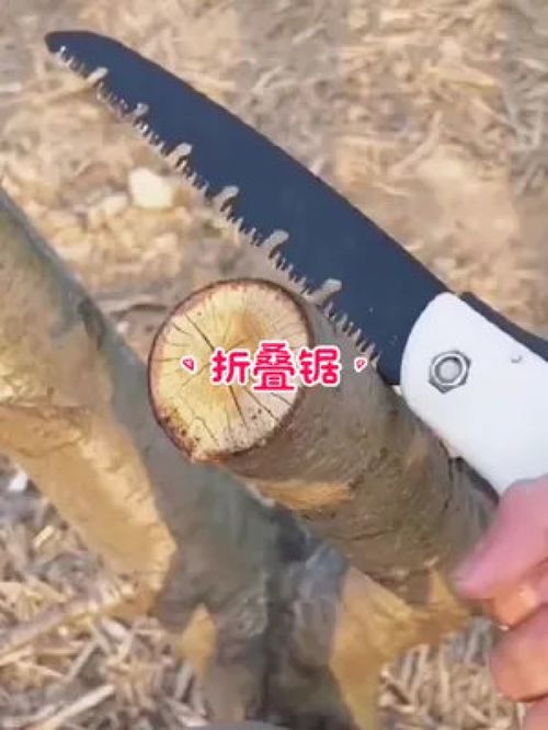 德國(guó)品質(zhì)，匠心之選 探索德國(guó)進(jìn)口折疊手工鋸在園林工具中的卓越應(yīng)用