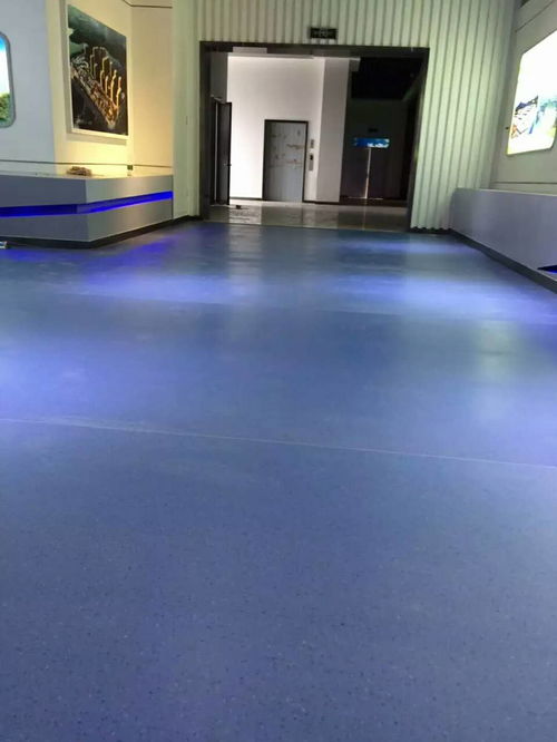 漣源塑膠地板工程造價,pvc塑膠地板生產(chǎn)廠家