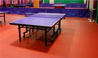 pvc塑膠地板塑膠地板 運動地板高規格防滑耐磨