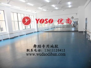 專(zhuān)業(yè)舞蹈塑膠地板 保護(hù)、減震、排壓與批發(fā)的全方位解析